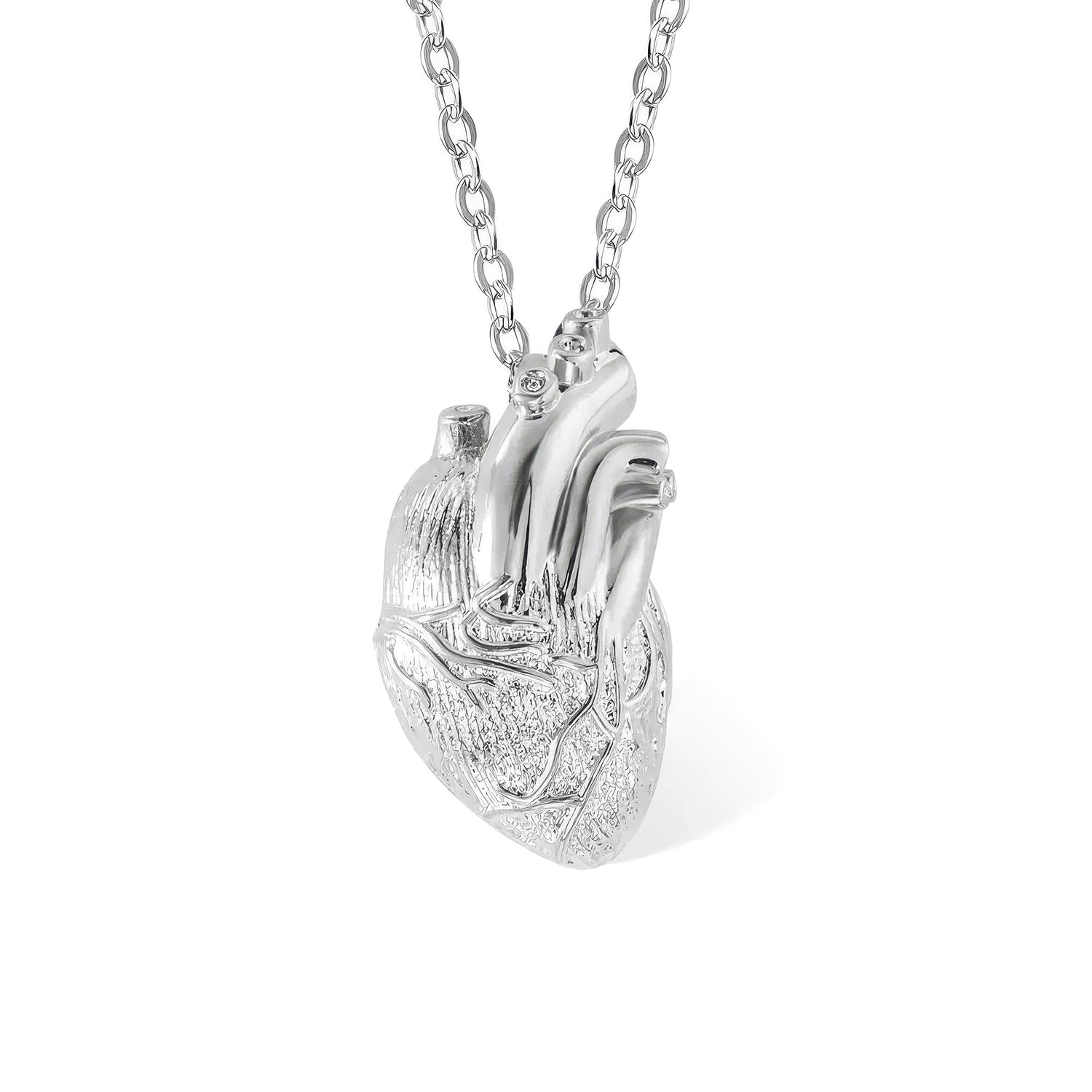 Anatomical Heart Necklace