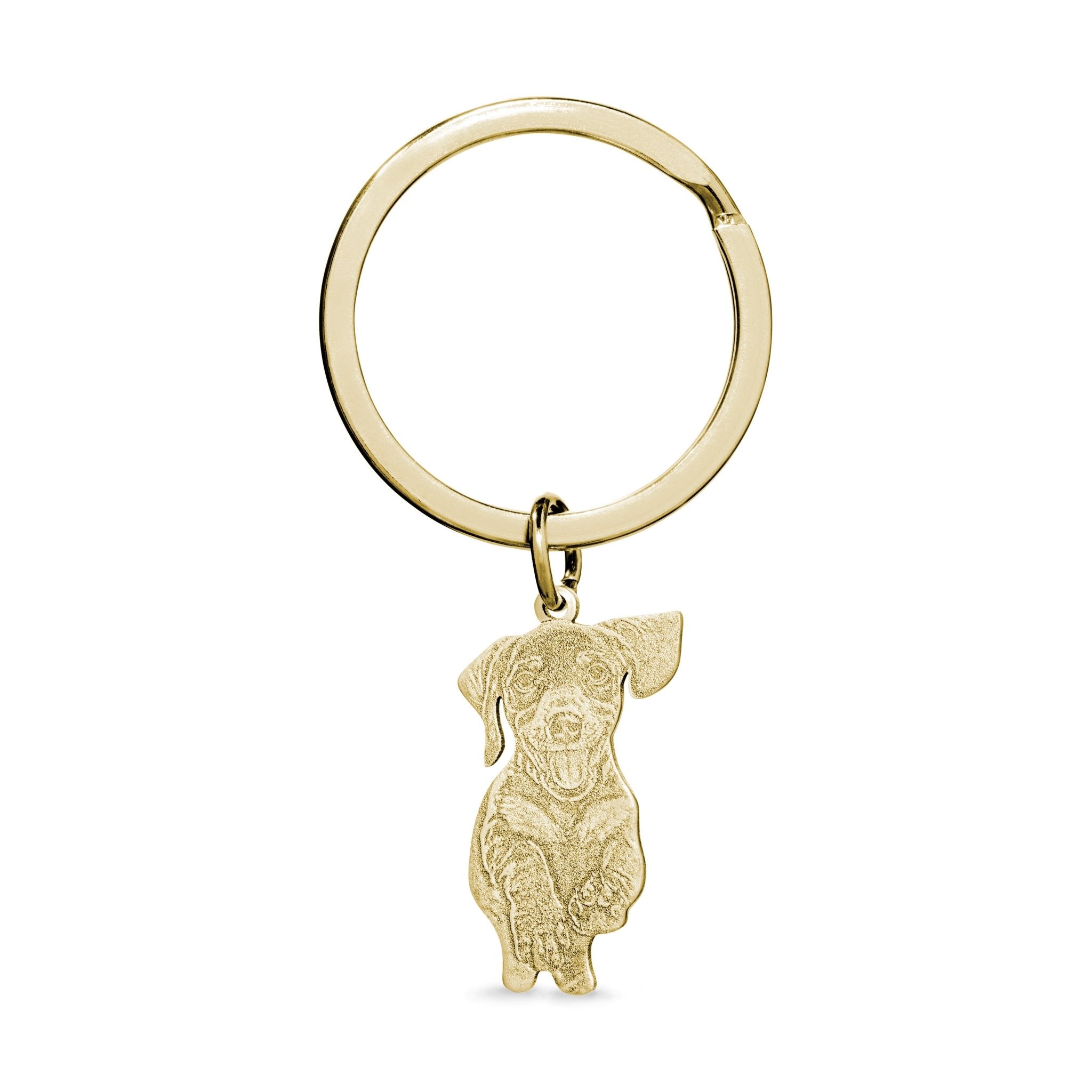 Personalised Pet Charm Keyring - United Bracelets